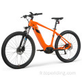 250W E Bike Mountain Bikes